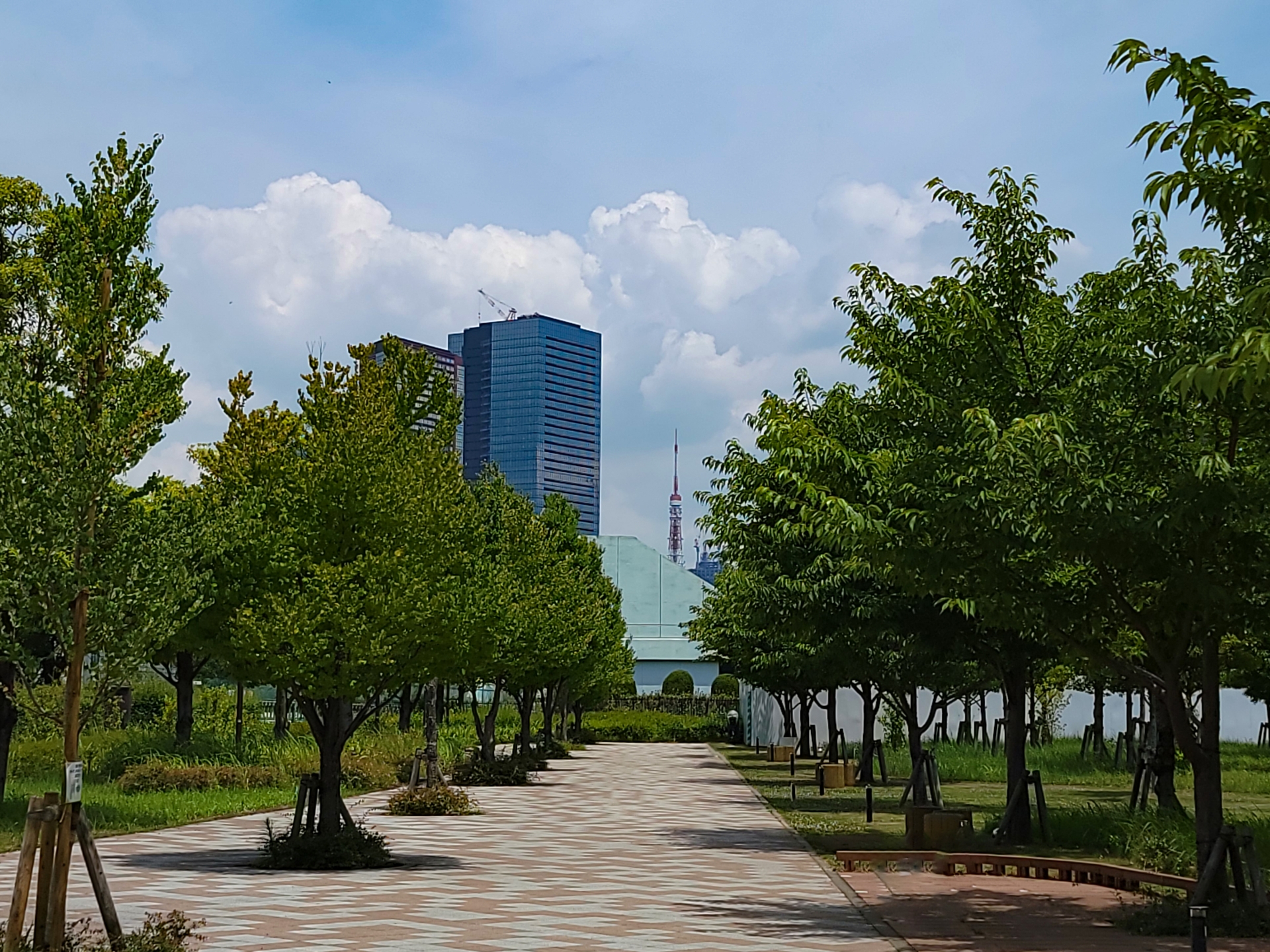 芝浦中央公園の画像